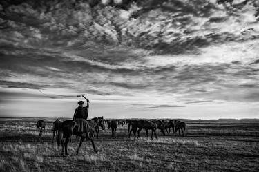Print of Horse Photography by Zsolt Repasy