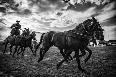 Print of Horse Photography by Zsolt Repasy