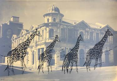 Original Modern Animal Printmaking by James Delaney