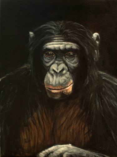 Original Portraiture Animal Paintings by Eric Drass