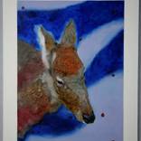 Warm Winter by The Gallery