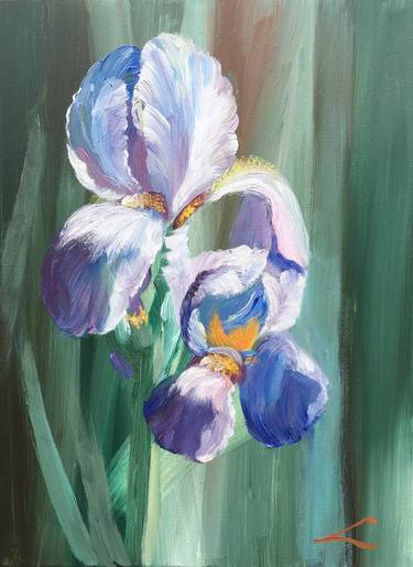 Irises thumb