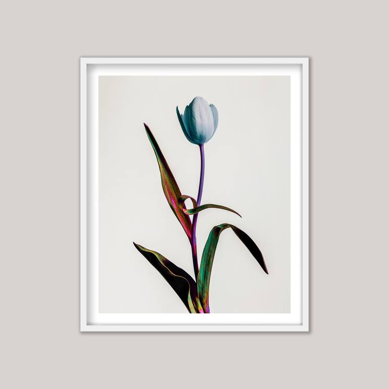 Original Abstract Garden Photography by Guy Sargent