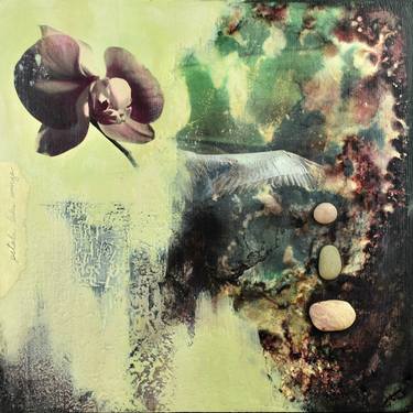 Original Abstract Nature Collage by Lisa Agaran