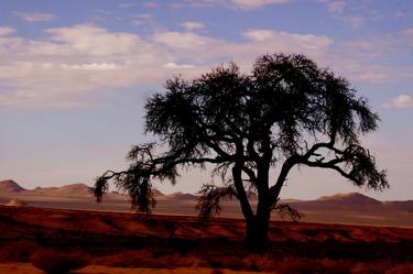 Dramatic Tree - Namibia thumb