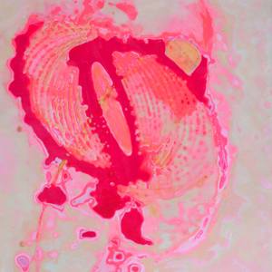 Jaime Derringer (Executive Editor)