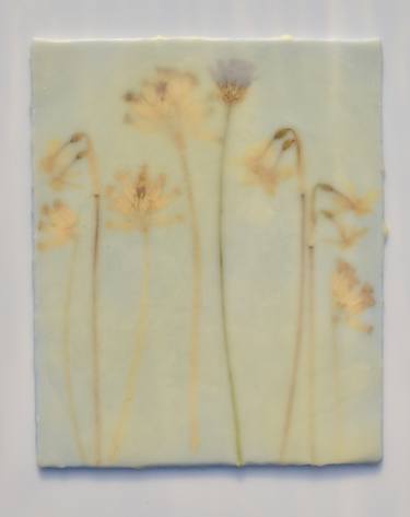 Original Abstract Botanic Paintings by Helen dooley