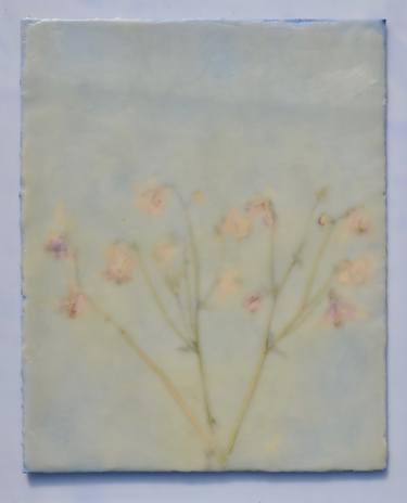 Original Floral Paintings by Helen dooley
