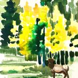 Elk at Zenith Park by Hannah Dean