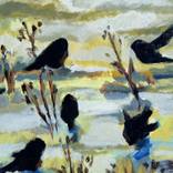 Juncos in snow by Hannah Dean