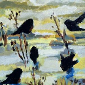 Juncos in snow