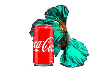 Original Digital Art Food & Drink Digital by Freddy Velilla