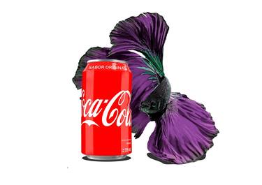Original Conceptual Food & Drink Digital by Freddy Velilla