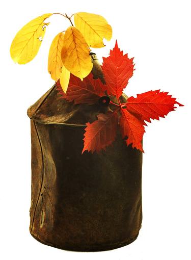 Autumn Colors_Tin Can - Limited Edition of 15 thumb