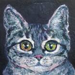 Cat Portrait by Ercan Sert