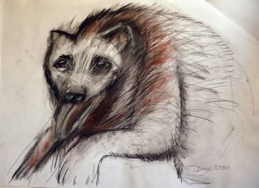 Print of Expressionism Animal Drawings by Carol Bwye