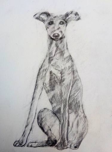 Original Figurative Animal Drawings by Carol Bwye