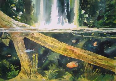 Original Nature Paintings by Alan Reed