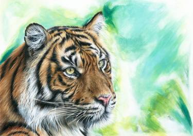 Original Animal Paintings by Rebecca Findlay