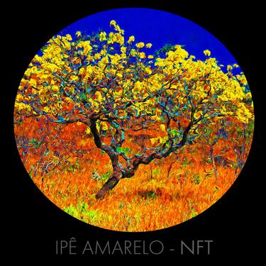 Original Nature Digital by Reinaldo Amaral