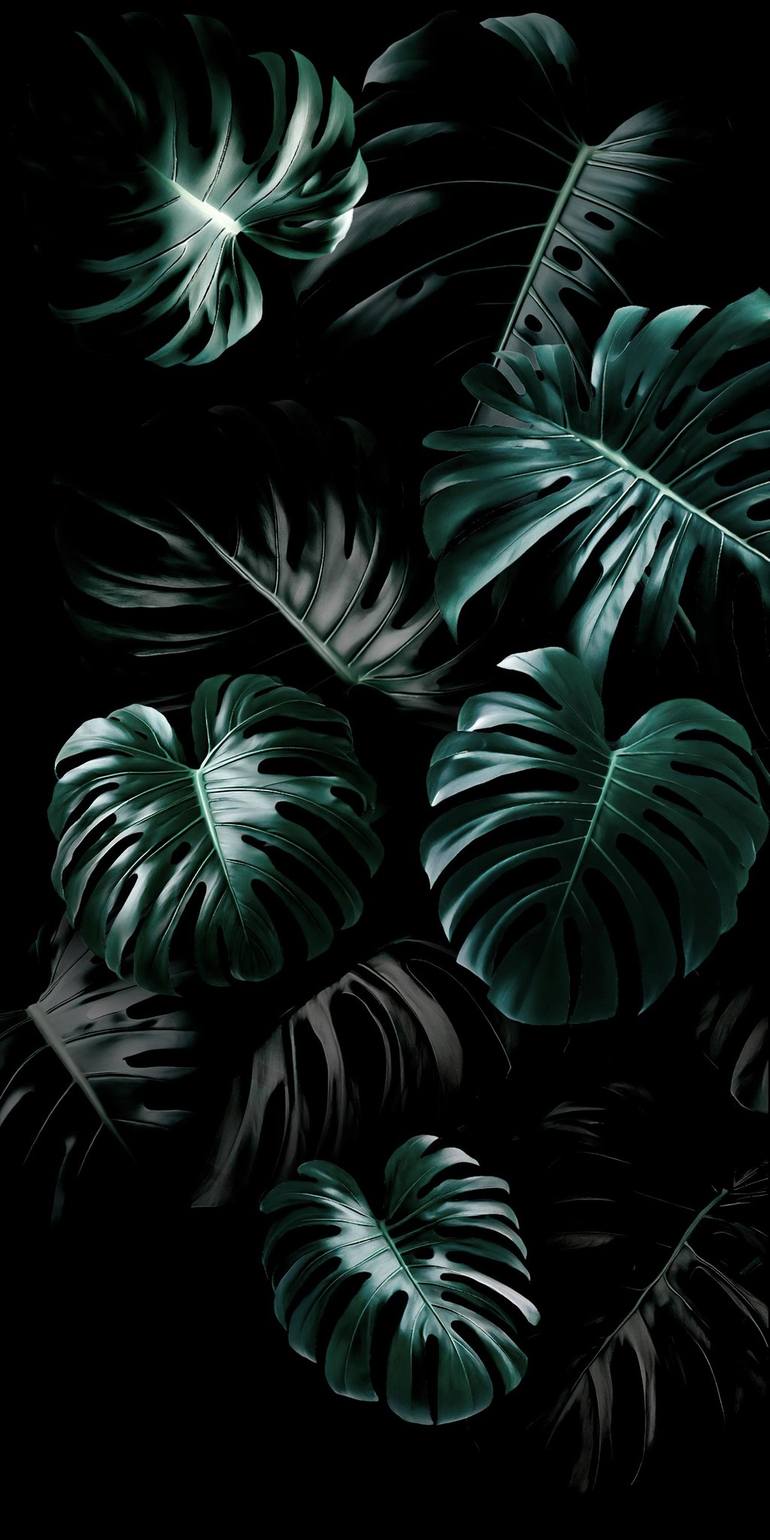 MONSTERA DELICIOSA III Printmaking by Reinaldo Amaral | Saatchi Art Italy