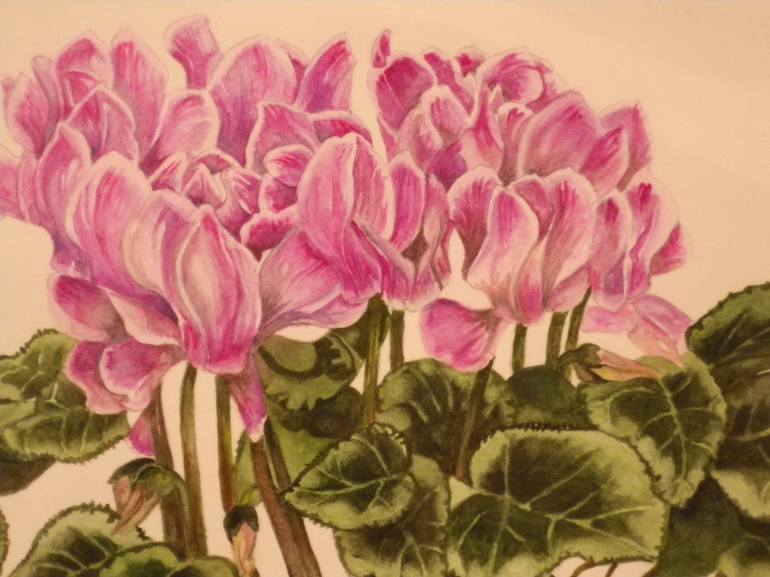 Original Botanic Painting by Jane Galvin