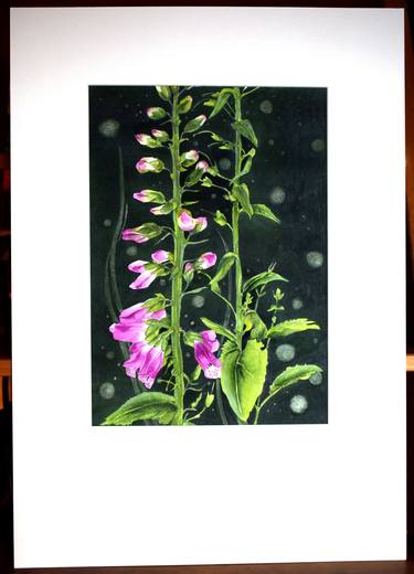 Foxglove Garden. thumb