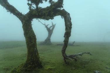 The Ents Living Creatures of Fanal - In Frame thumb