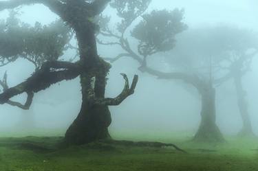 The Ents Living Creatures of Fanal - Come Closer thumb