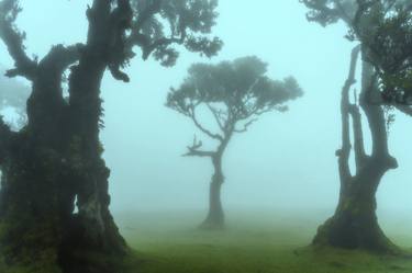 The Ents Living Creatures of Fanal - On Stage thumb