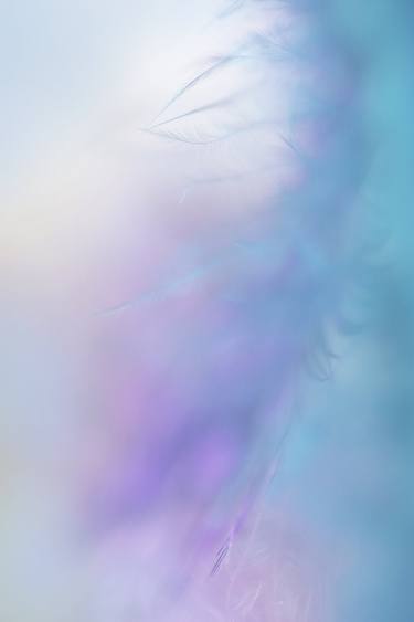 Original Abstract Photography by Jenny Rainbow