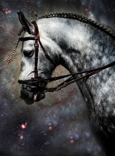 The Horse Among the Stars  (Ltd Edition of only 20 Fine Art Giclee Prints from an original photograph) thumb