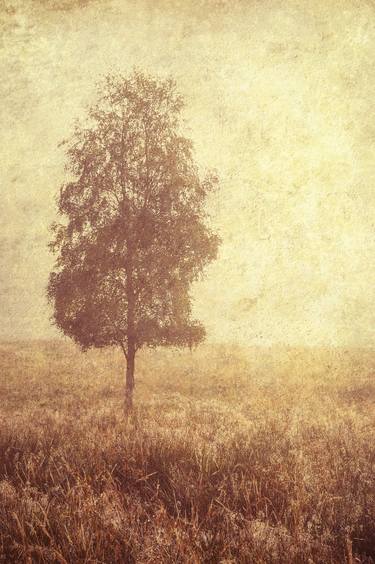 Lonely Tree (Ltd Edition of only 20 Fine Art Giclee Prints from an original photograph) thumb