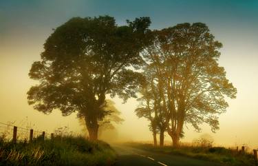 Twilight Guardians. Misty Roads Of Scotland - Limited Edition 10 of 10 thumb