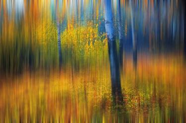 In the Golden Woods. Impressionism - Limited Edition 10 of 10 thumb