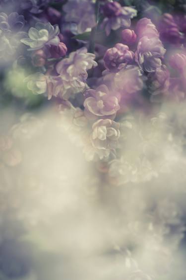 Original Impressionism Floral Photography by Jenny Rainbow