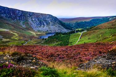 Multicolored Carpet Of Wicklow Hills. Ireland - Limited Edition 20 of 20 thumb