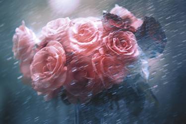 Rain Red Roses Nostalgia - Limited Edition 25 of 25 thumb