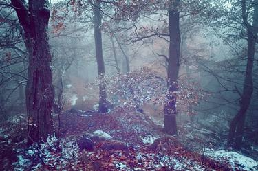 Original Conceptual Landscape Photography by Jenny Rainbow