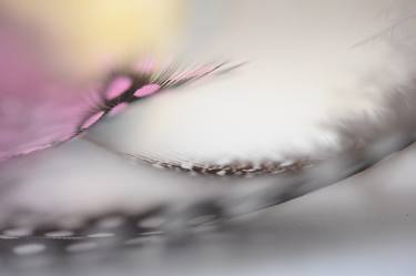 Original Abstract Photography by Jenny Rainbow