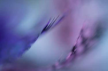 Original Abstract Expressionism Abstract Photography by Jenny Rainbow