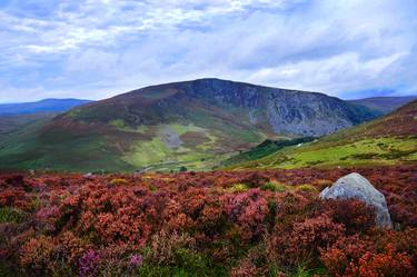Colorful Carpet Of Wicklow Hills - Limited Edition 20 of 20 thumb