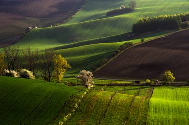 Original Fine Art Landscape Photography by Jenny Rainbow