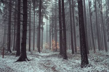 Original Landscape Photography by Jenny Rainbow