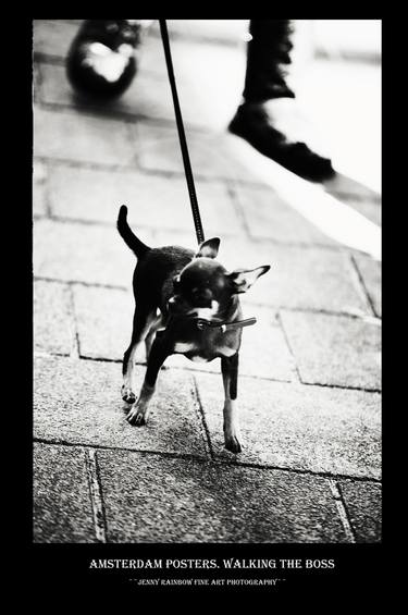 Original Animal Photography by Jenny Rainbow
