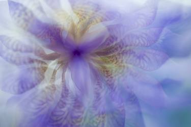 Original Impressionism Botanic Photography by Jenny Rainbow