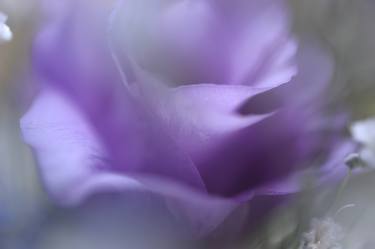 Original Abstract Botanic Photography by Jenny Rainbow