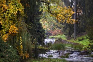 Golden Influence Of Autumn thumb