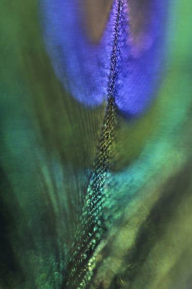 Original Abstract Expressionism Abstract Photography by Jenny Rainbow