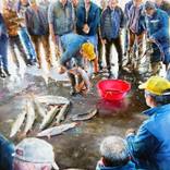 Fish auction by Rukiye Garip